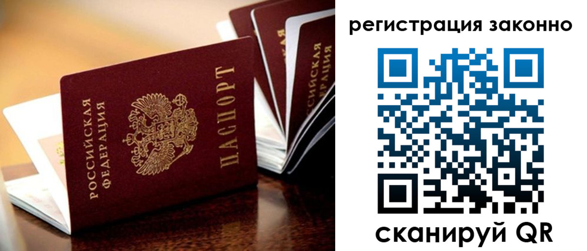 прописка для школы в Палласовке